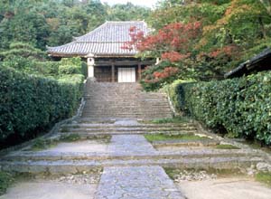 �y�G�[�XJTB�z�ޗǃc�A�[�E�ޗǂ̗��فE�z�e���\��